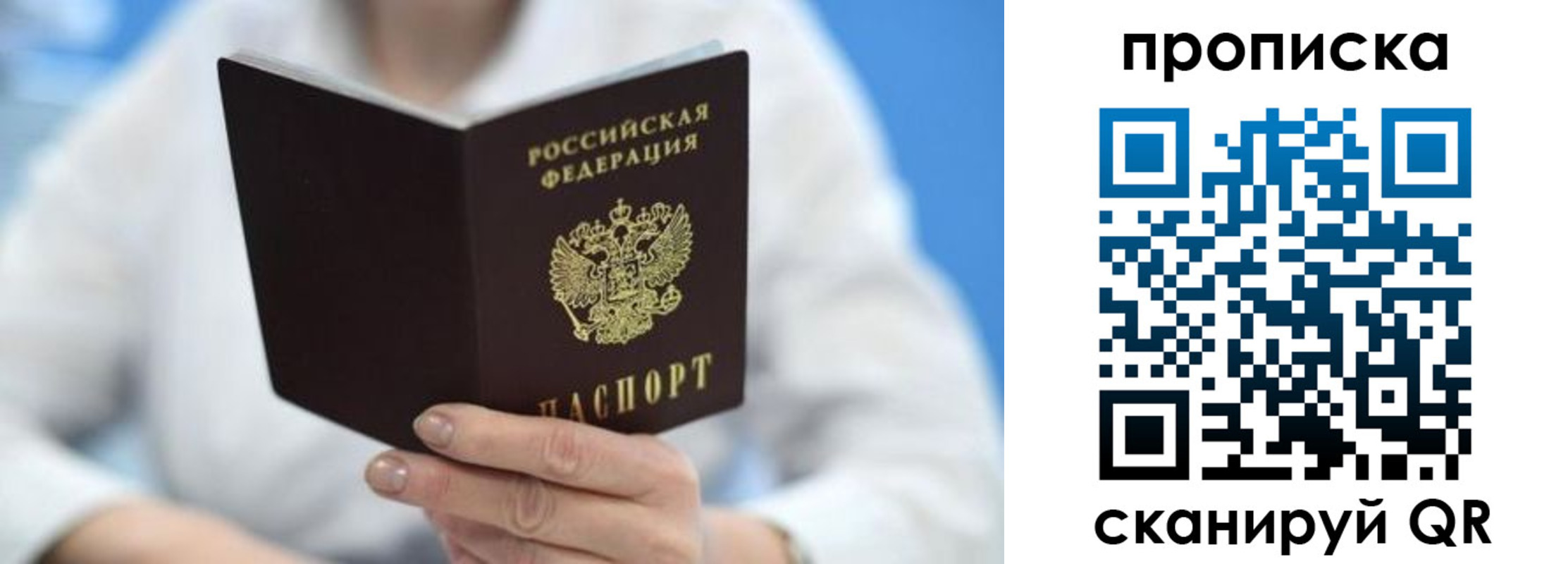 прописка 2025 в Невеле